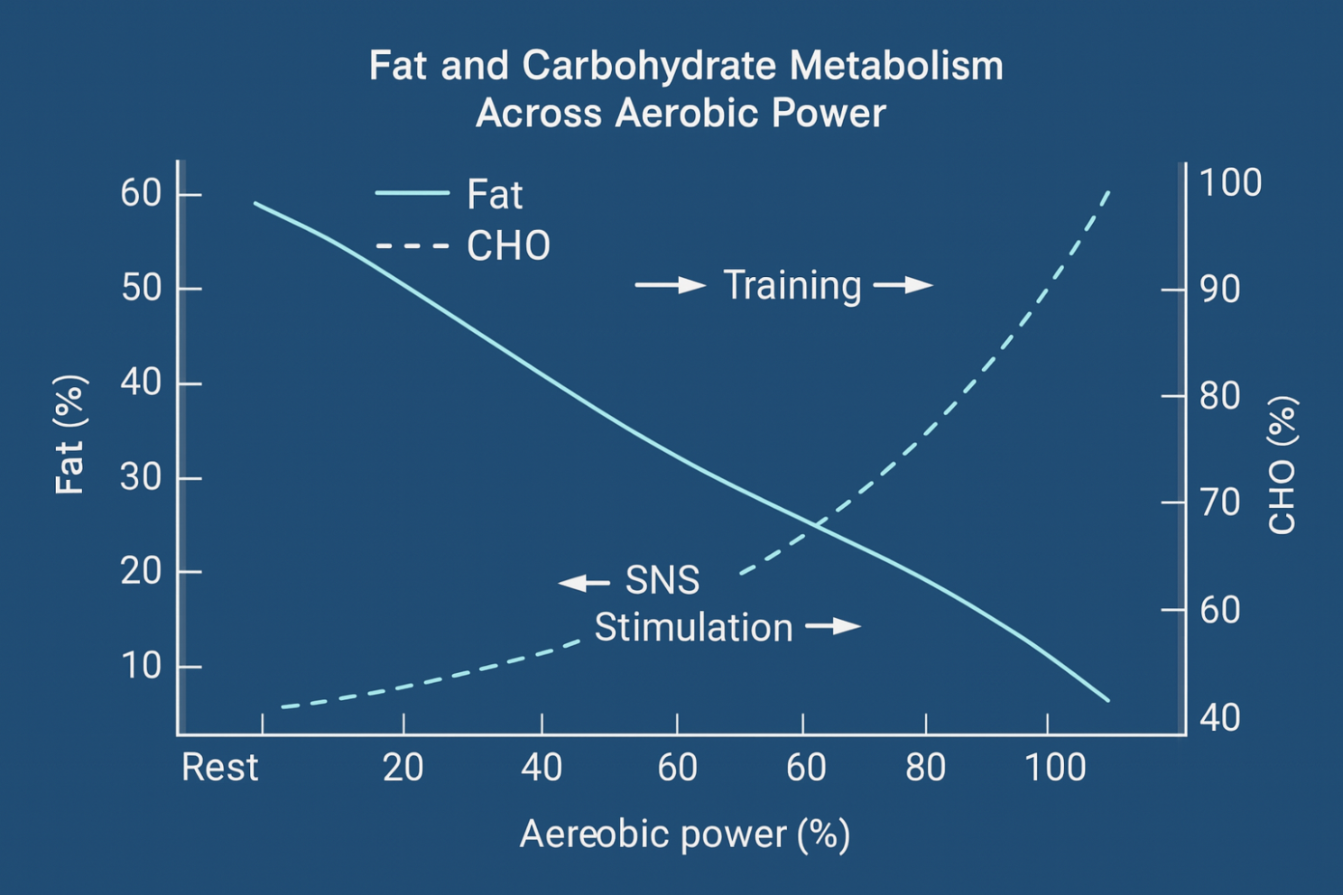 Fat and Carbohydrate Metabolism